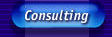 Consulting services from Fretless Productions/Management